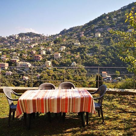 Villa Olivari - apt il Melograno Camogli Esterno foto