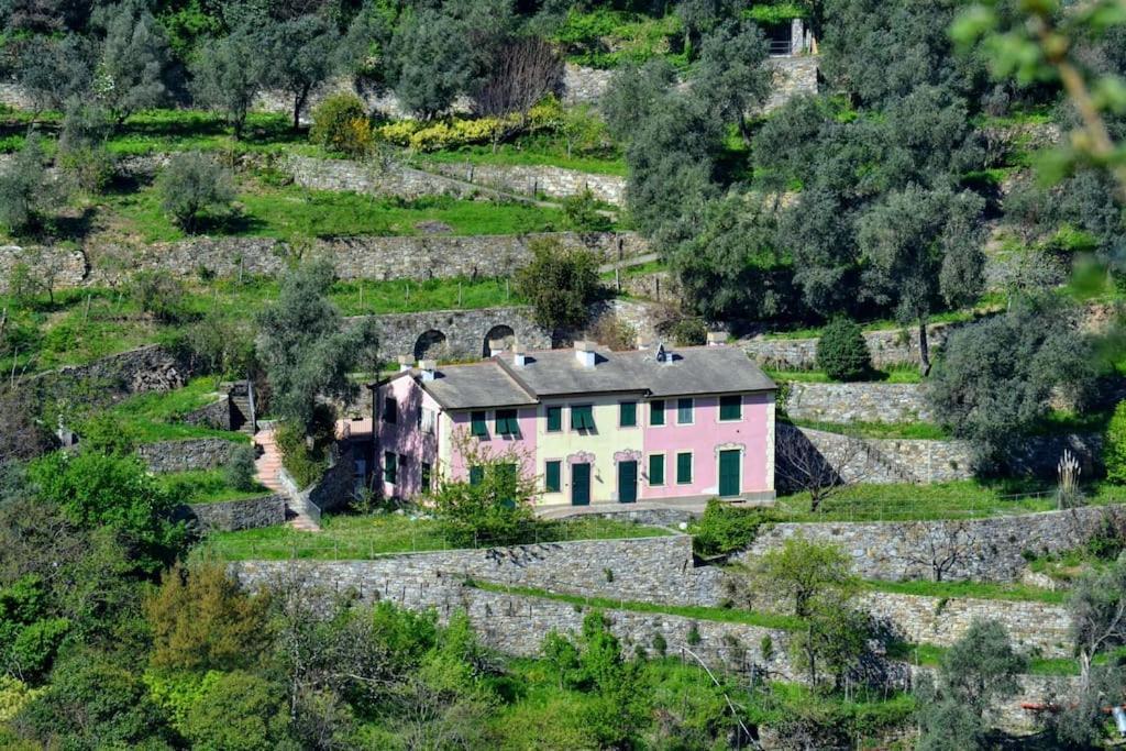 Villa Olivari - apt il Melograno Camogli Esterno foto