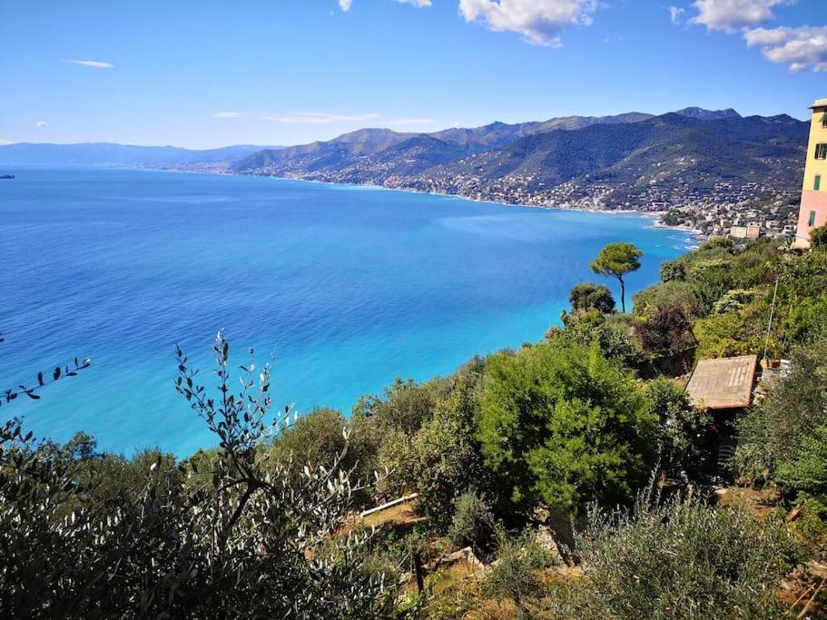 Villa Olivari - apt il Melograno Camogli Esterno foto
